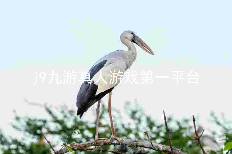 j9九游真人游戏第一平台